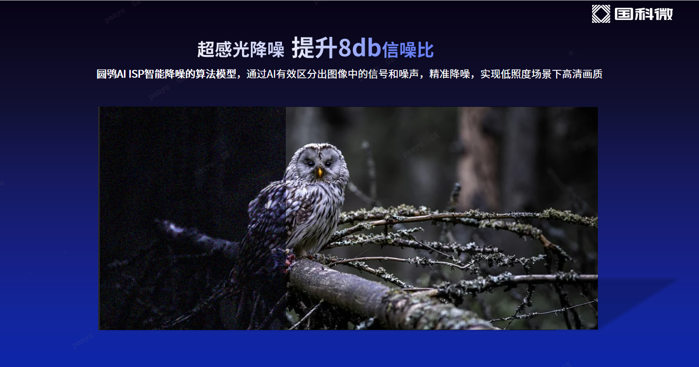 �Ʋʹ��ʡ�(�й���)���޹�˾����